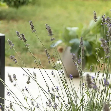 Val - Modern * Póla